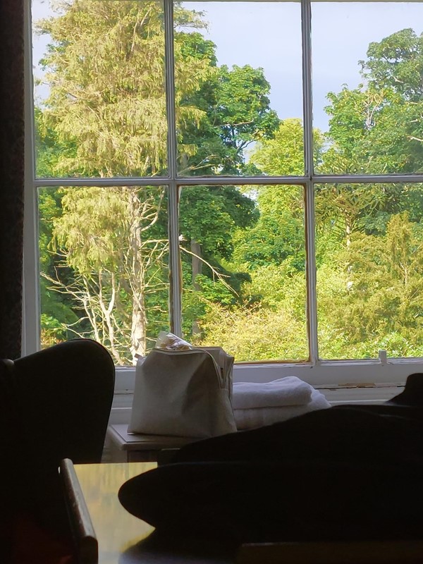A window with trees outside