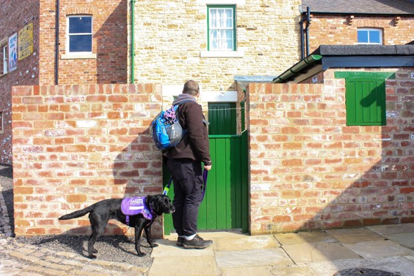 Rear yard of a 1950s terraced house with level entry and flat paving.