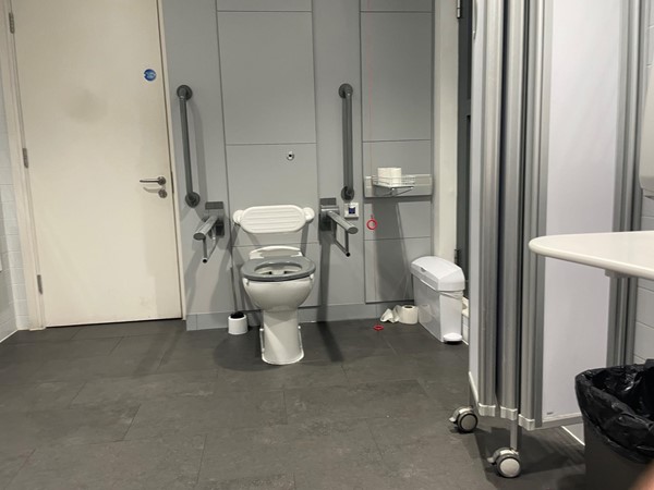 Image of a an accessible toilet