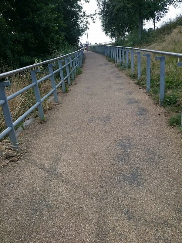 Picture of Queen Elizabeth Olympic Park