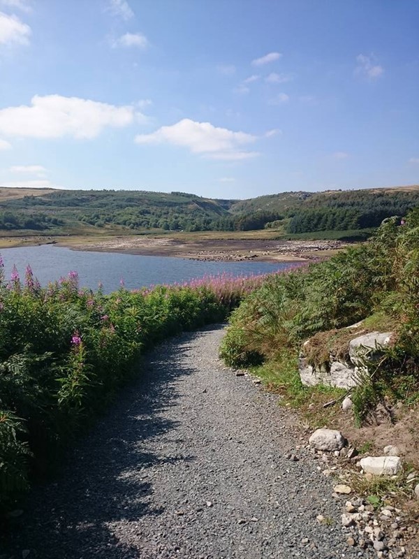 Picture of Grimwith Reservoir