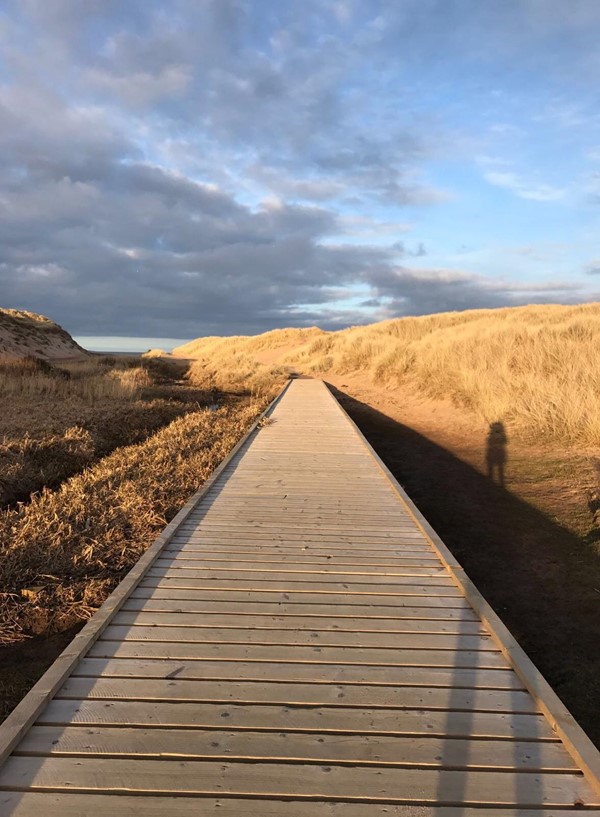 Picture of Balmedie Country Park