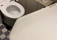 Accessible toilet