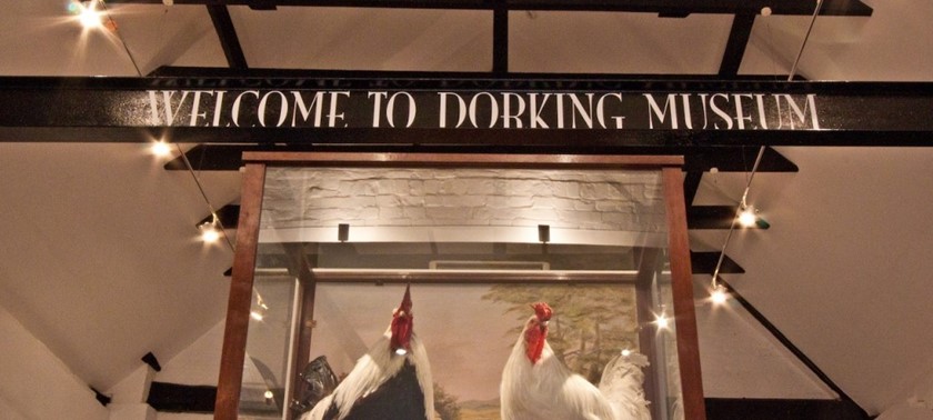 Dorking Museum & Heritage Centre