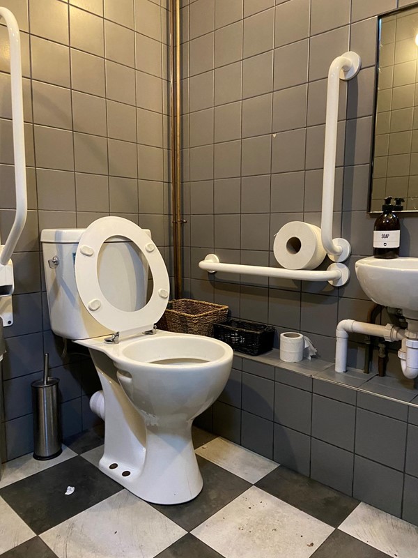 Accessible toilet