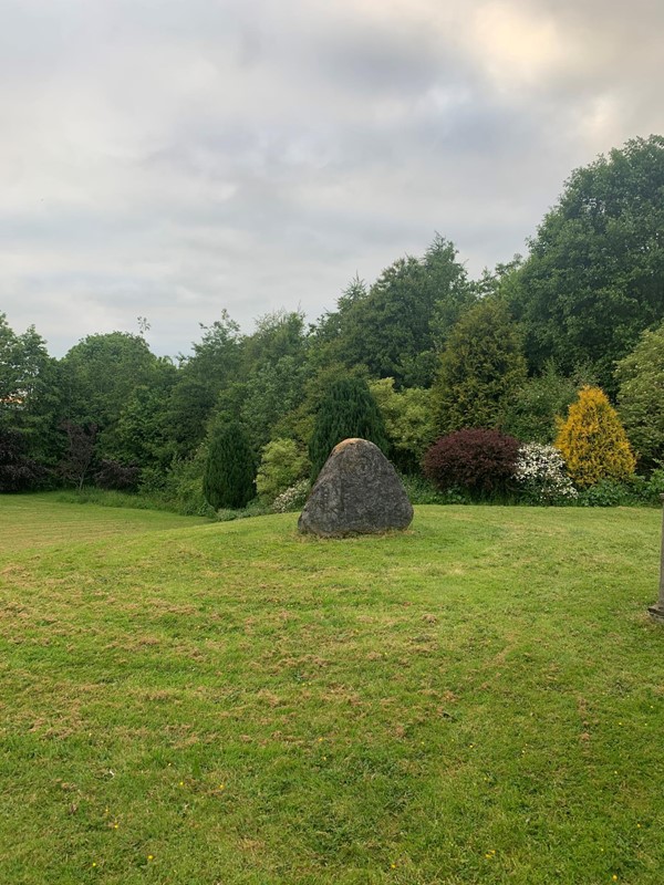 Field with a stone in it