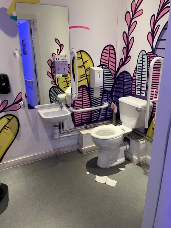 Image of an accessible toilet