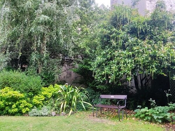 Image of a garden with a bench