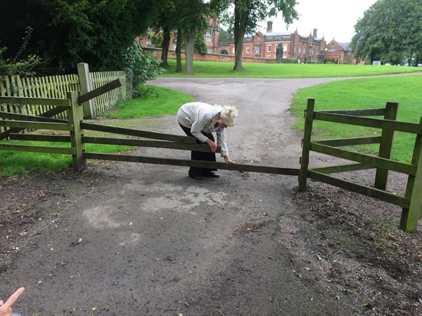 Capesthorne Hall - Fence