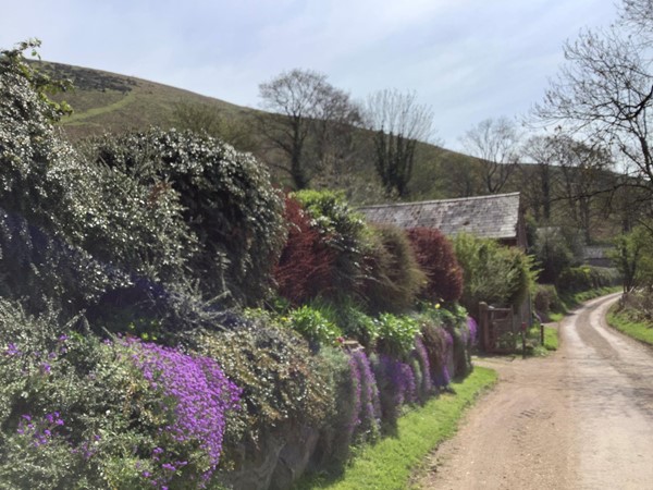 Picture of a path by a hill