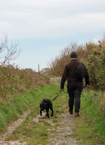 Breakwater Country Park