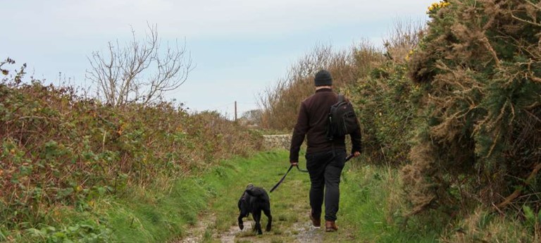 Breakwater Country Park