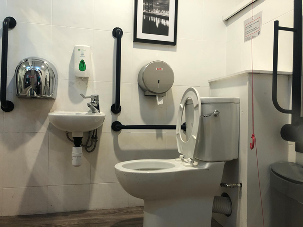 Accessible toilet