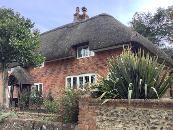 Thatched house