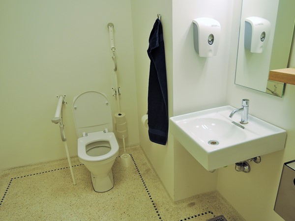 Accessible Toilet