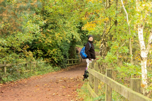 Woodland path, fenced on one side.