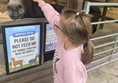 Young girl petting a donkey at the farm.