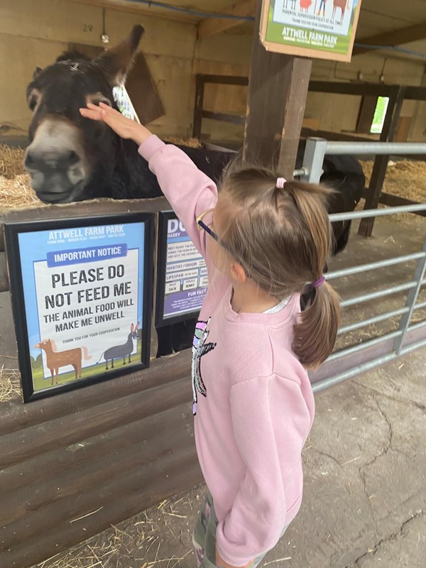 Young girl petting a donkey at the farm.