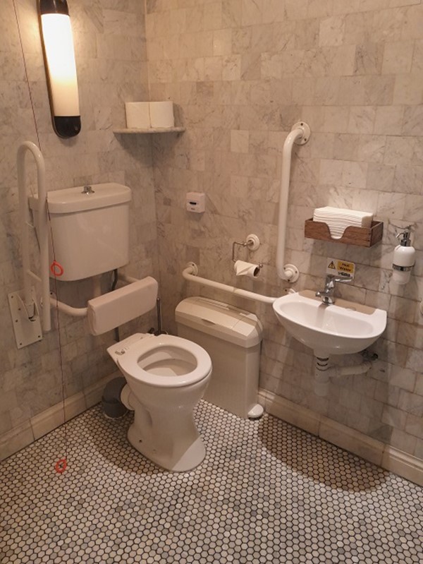 Image of an accessible toilet