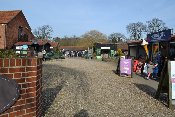 Picture of Wroxham Barns