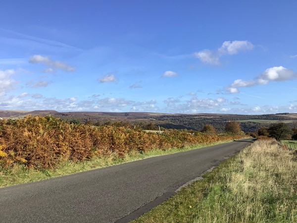 Road through some countryside