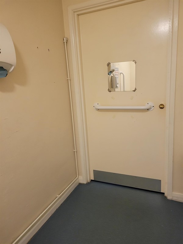 Image of a small mirror on a door and a grab rail