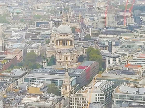 The Lookout view