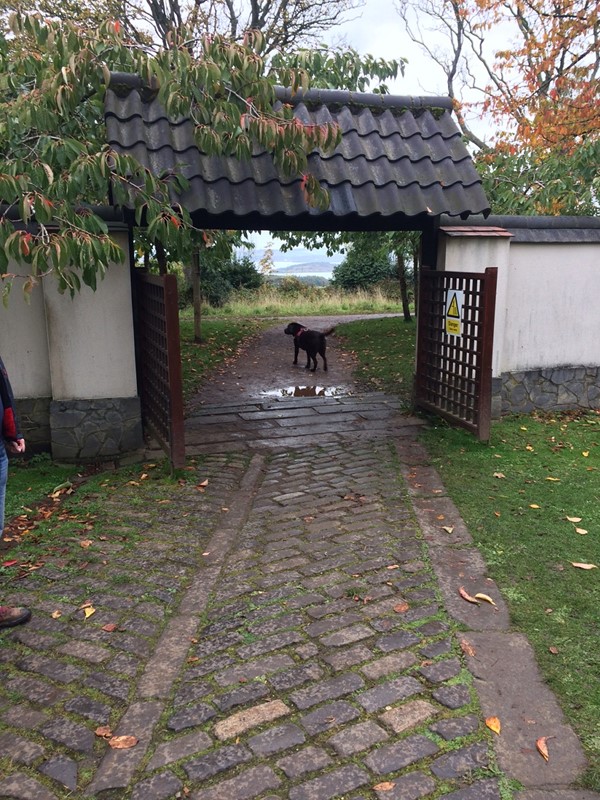 One of the entrances/exits to the Japanese garden. Some sections of paving are tricky to navigate