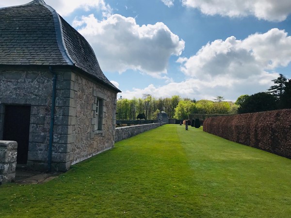 Upper garden - grass but flat and hard so not too hard to wheel on