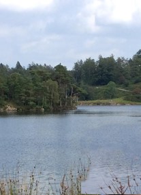 Tarn Hows