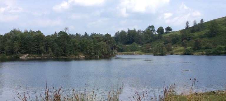 Tarn Hows