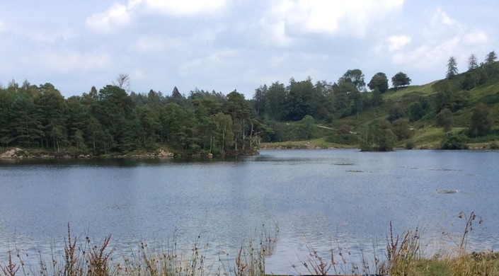 Tarn Hows