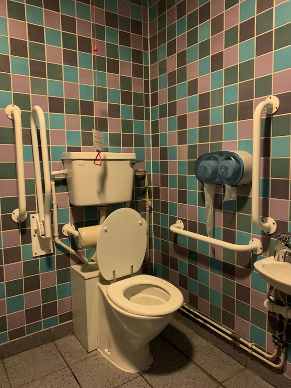 View of toilet from door