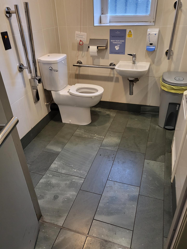 Picture of an accessible toilet