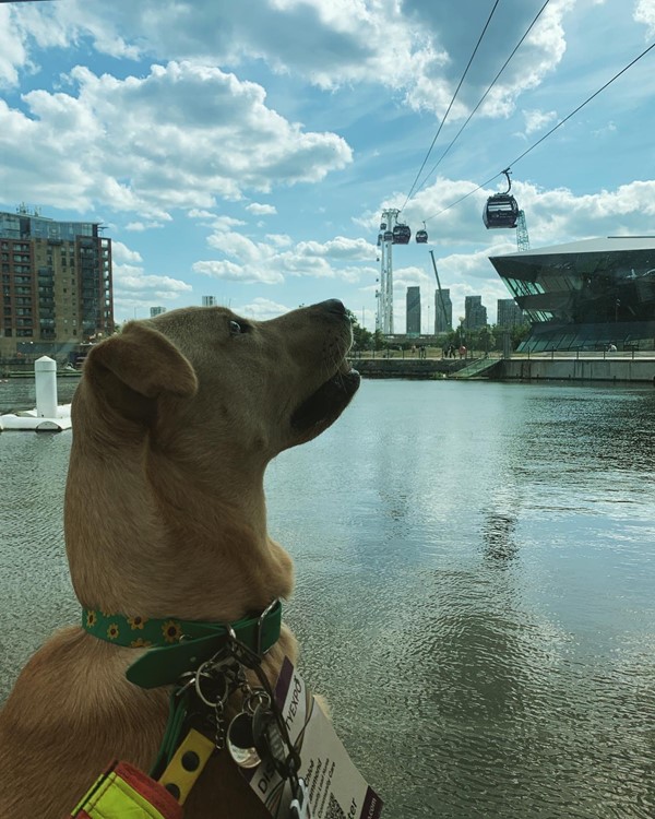 IFS Cloud Greenwich Peninsula