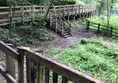 Picture of  Loggerheads Country Park, Mold