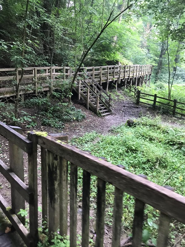 Picture of  Loggerheads Country Park, Mold