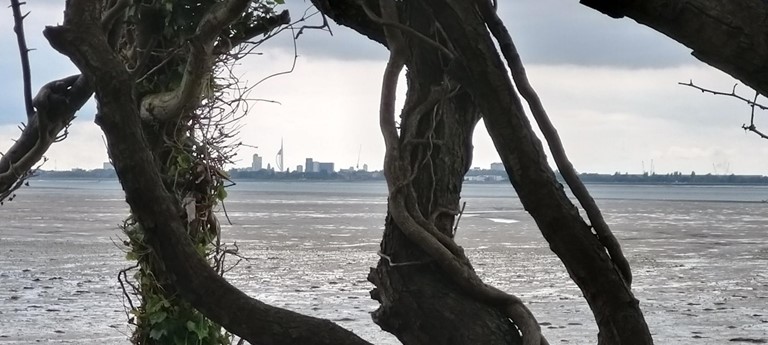 Hayling Billy Cycle Trail