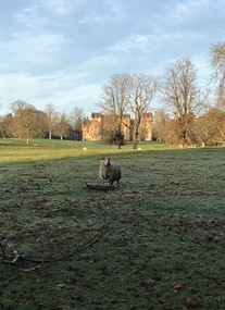 Fyvie Castle