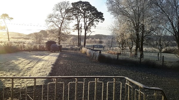 Picture of Meadowsweet Bungalow