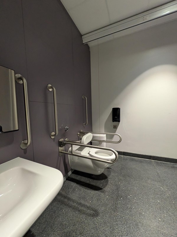 Image of the wide, low sink and toilet in the Changing Places toilet. The red emergency cord touches the floor