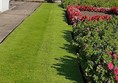 Image of flowerbeds in a garden, in front of a ruined abbey