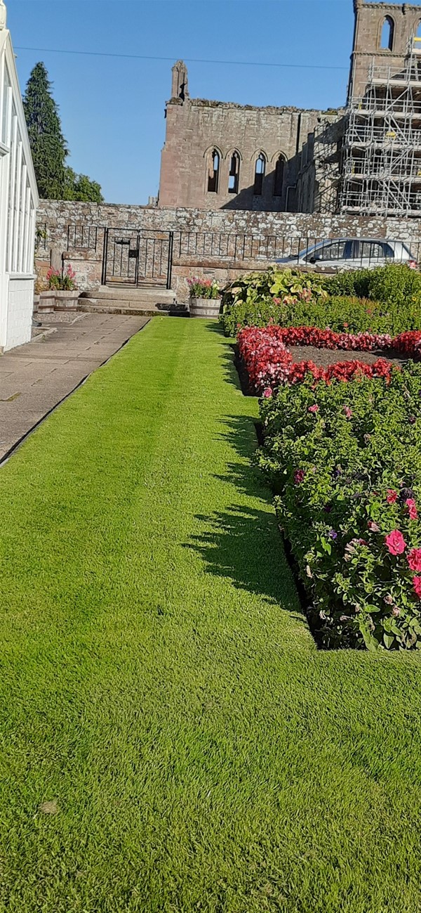 Image of flowerbeds in a garden, in front of a ruined abbey