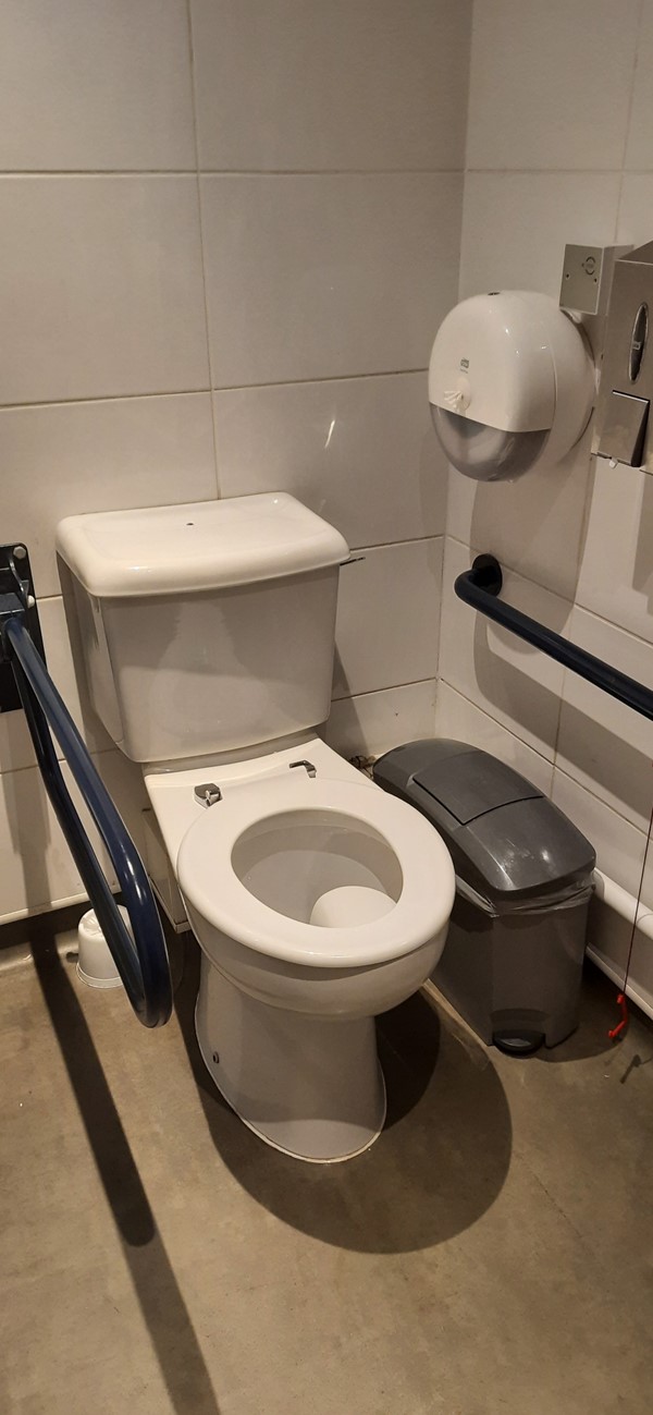 Picture of the accessible toilet