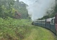 Image of a train journeying on tracks as smoke rises from its engine.