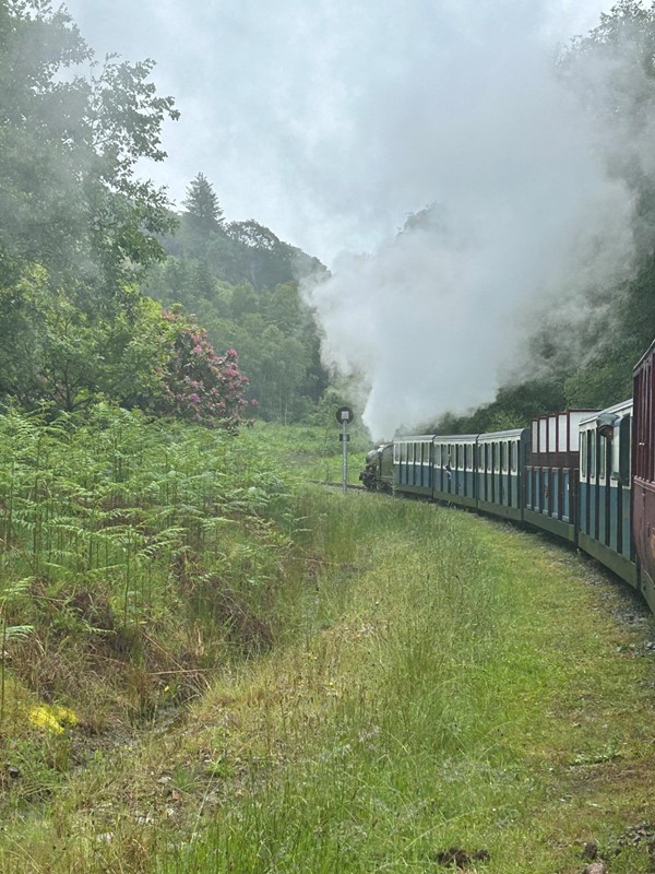 Image of a train journeying on tracks as smoke rises from its engine.