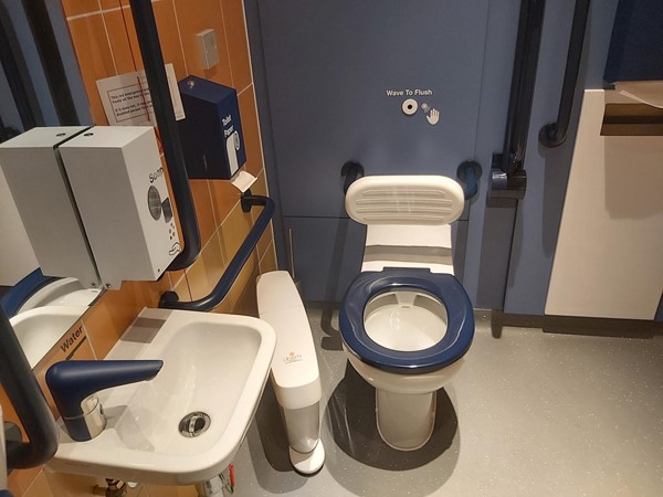 Picture of The Wellcome Collection Accessible Toilet