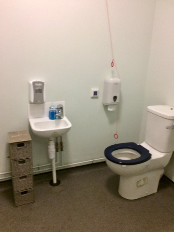 Accessible toilet