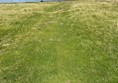 Image of the shadow of a person on a grassy area