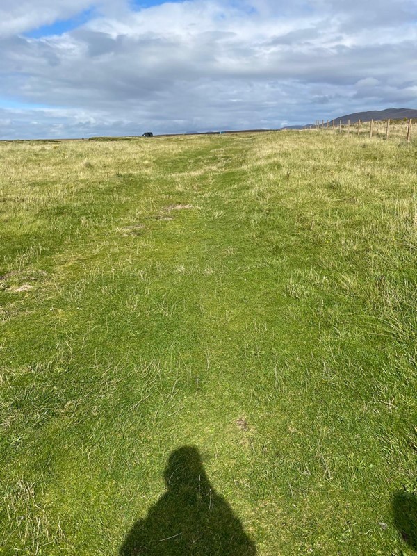 Image of the shadow of a person on a grassy area